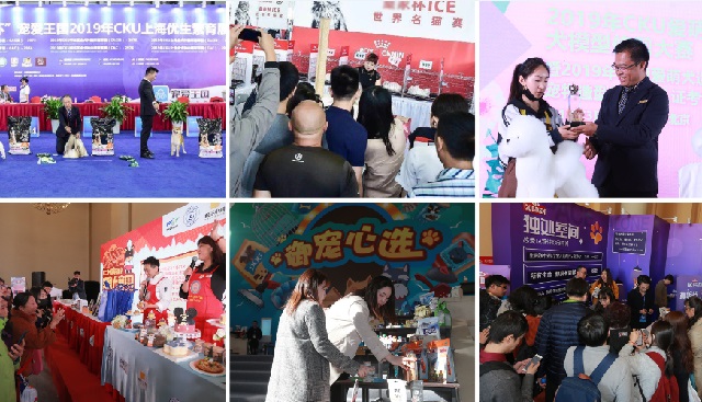 深圳華南寵物用品展Pet Fair South China(www.kllife.com.cn)