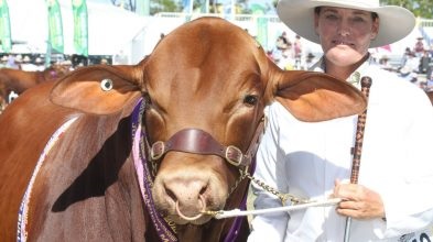 2021澳大利亞牛肉產(chǎn)業(yè)及肉類加工展覽會舉辦時間Beef Australia(www.kllife.com.cn)