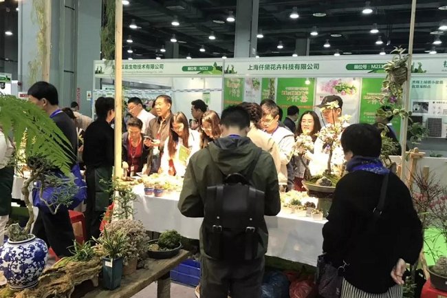 亞洲國際花卉園藝展覽會(huì)Flower Expo(www.kllife.com.cn)