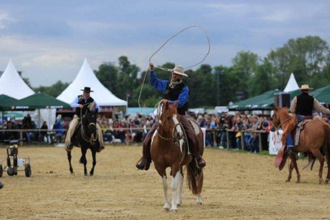 德國科隆馬術(shù)用品展覽會spoga horse(www.kllife.com.cn)