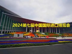 2024進(jìn)博會門票價(jià)格是多少